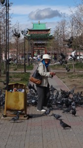 bird feeding