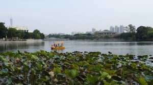 DSC02869